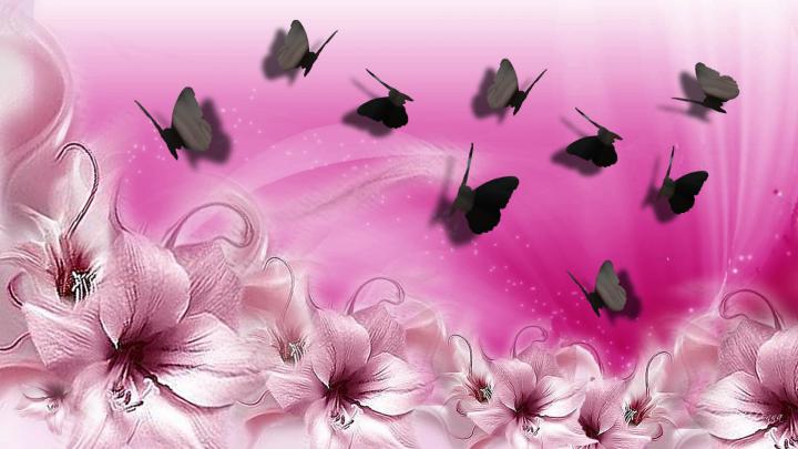 Pink Butterfly Backgrounds \u00b7\u2460 