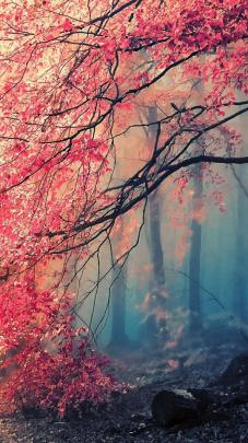 iphone wallpaper 4k japanese art