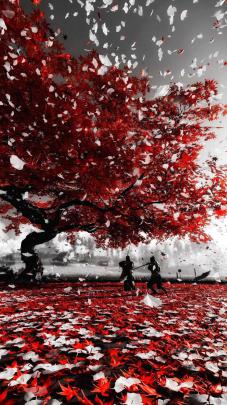 iphone wallpaper 4k japanese art