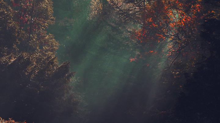 Free download desktop wallpaper laptop mac macbook air na74 wood nature 