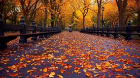 Cute Fall Desktop Wallpaper