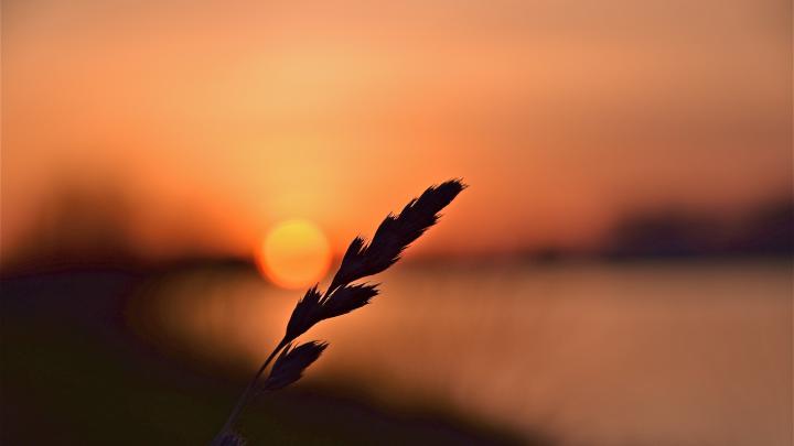 4k wallpaper for pc in hd (3840x2160) | 4k wallpapers for pc, Wallpaper 