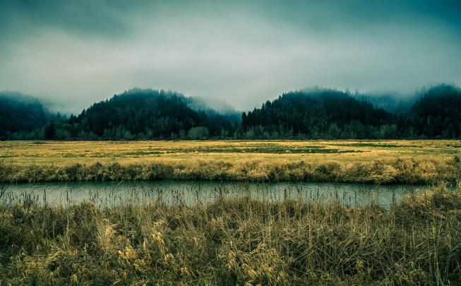 3840x2378 oregon 4k wallpaper download for pc | Forest wallpaper, Grass 
