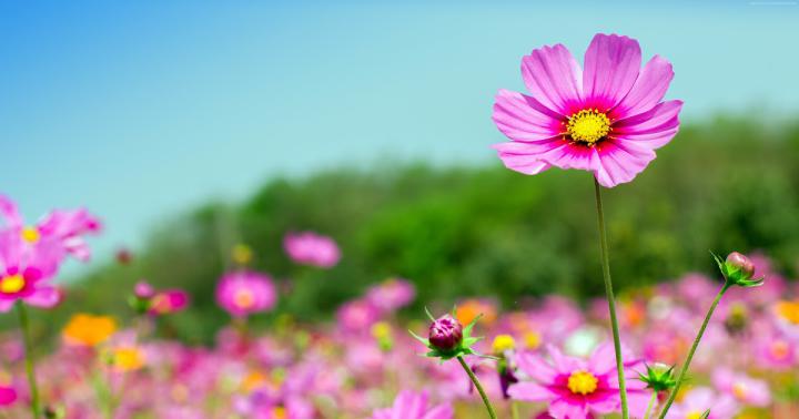 Nature 4K Wallpaper For Pc 1920X1080 - canvas-woot