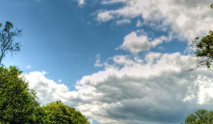 4K Wallpaper Phone Nature