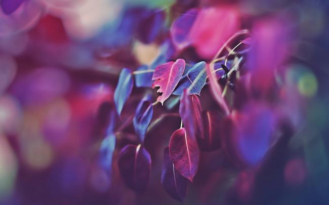 beautiful wallpaper macbook pro - HD Desktop Wallpapers