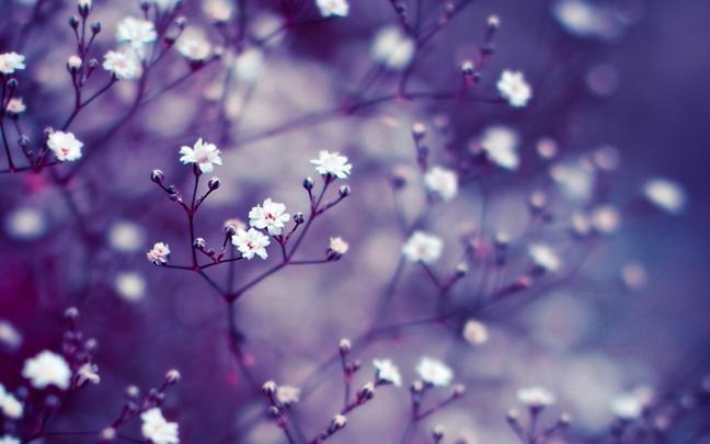 Desktop Wallpaper Macbook Pro (69+ images)