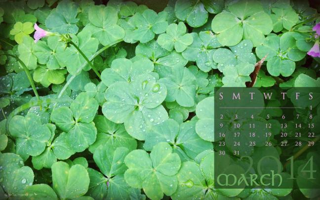 March Desktop Backgrounds