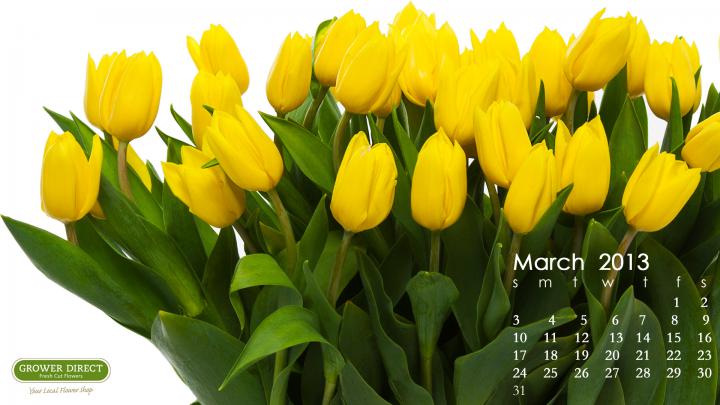 March Desktop Wallpapers (66+ images)