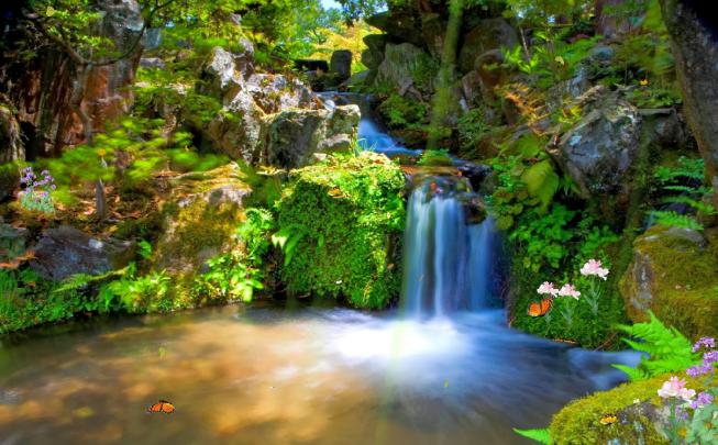 Photo Gallery : Animated Wallpaper Free Downloade Desktop Photo Gallery
