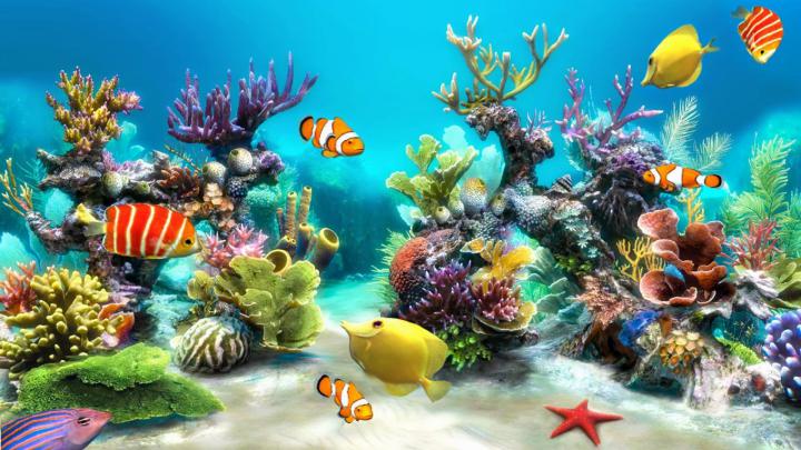 Animated Aquarium Desktop Wallpaper (53+ images)
