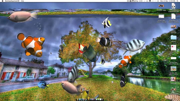 Animated Aquarium Desktop Wallpaper (53+ images)