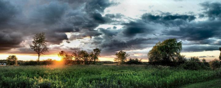 Panoramic Animated Desktop Windows 10 - Nomore Epidemics