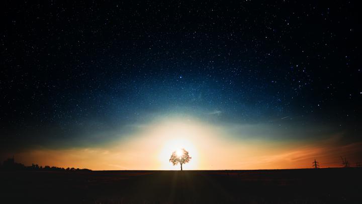 32+ Dark Nature Wallpaper 4k - Venera Wallpaper