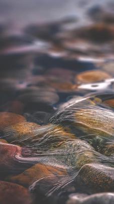 15 Beautiful iPhone Nature Wallpaper 4k