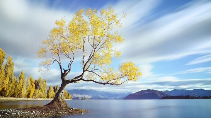 Neutral background \u00b7\u2460 Download free beautiful wallpapers for desktop 