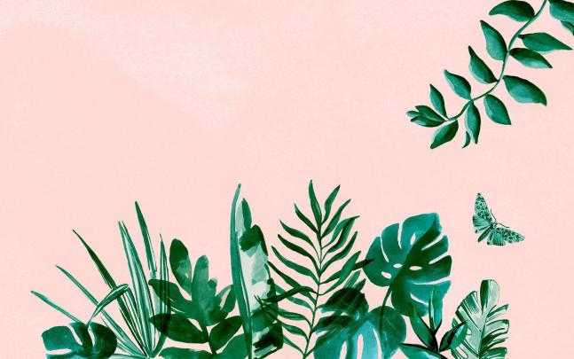 Neutral Aesthetic Desktop Wallpapers - Top Free Neutral Aesthetic 
