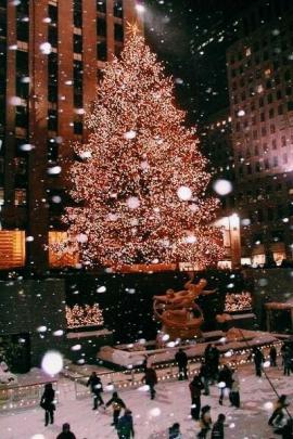 pinterest- alyssaabehrens | Xmas wallpaper, Christmas lights aesthetic 