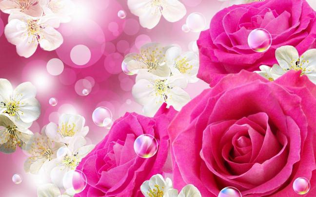 Beautiful Pink Roses Wallpapers For Desktop
