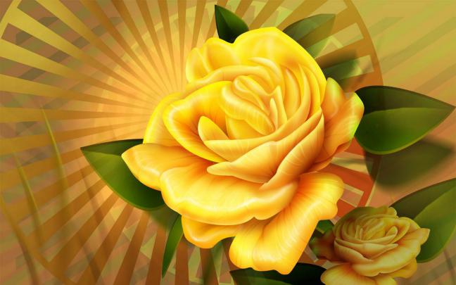 wallpapers: Rose Desktop Wallpapers and Backgrounds
