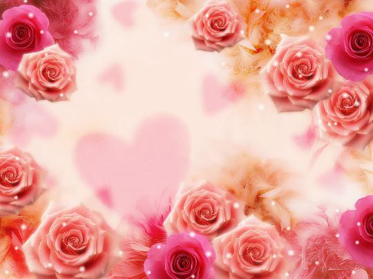 Roses Desktop Wallpapers - Wallpaper, High Definition, High Quality 