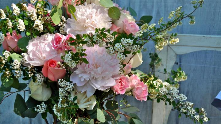 Desktop Wallpaper Peonies (57+ images)