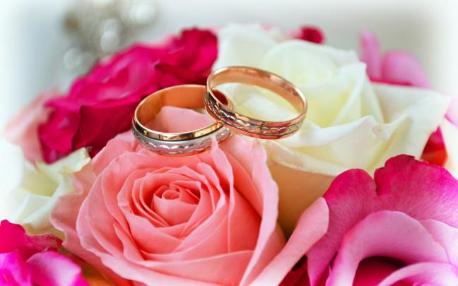 rings, Love, Roses, Flowers, Pink, Red, White, Forever, Merried 