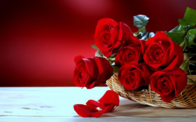 Roses Desktop Wallpaper \u00b7\u2460 
