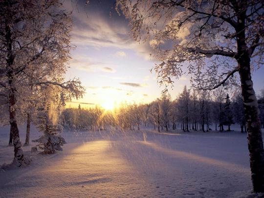 Snow Desktop Wallpaper