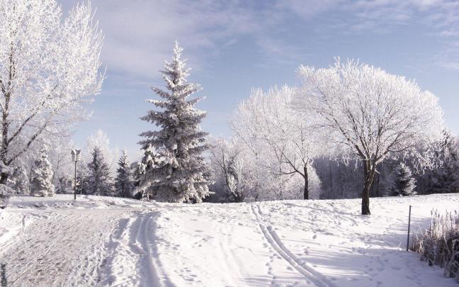 Snow Computer Wallpapers