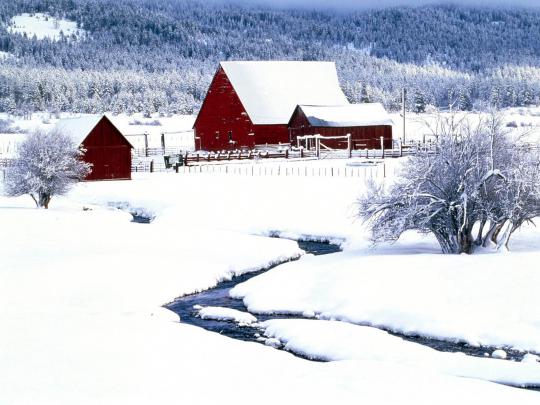 wallpapers: Snow Desktop Wallpapers and Backgrounds