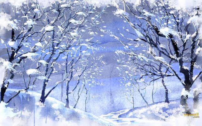 Snow Pictures For Wallpapers