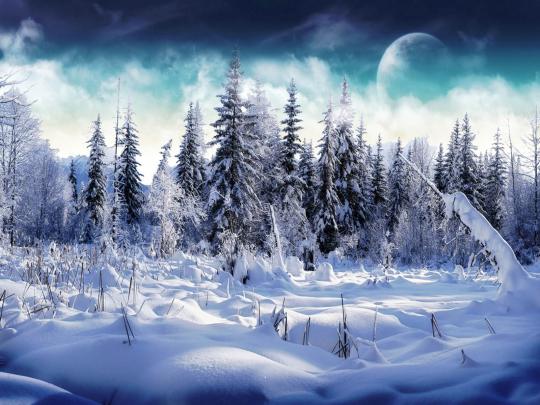 Snow Desktop Wallpapers