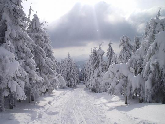 wallpapers: Snow Wallpapers