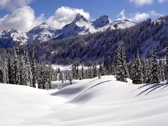 wallpapers: Snow Desktop Wallpapers and Backgrounds