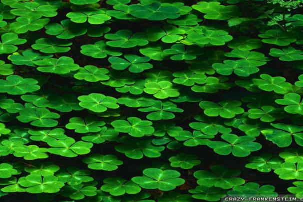 St Patricks Day Desktop Wallpaper \u00b7\u2460 