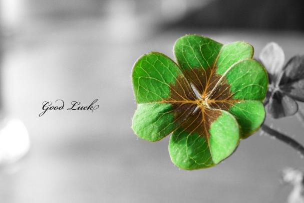 St Patricks Day Desktop Wallpaper \u00b7\u2460 