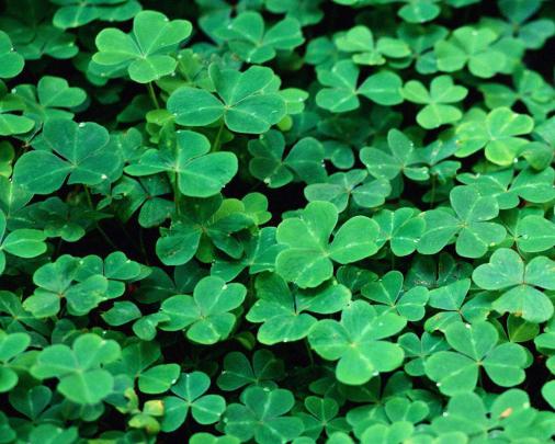 Free St Patricks Day Desktop Wallpapers