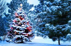 Pinterest Christmas Desktop Wallpaper