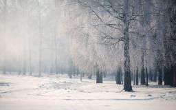 Snow Desktop Wallpaper
