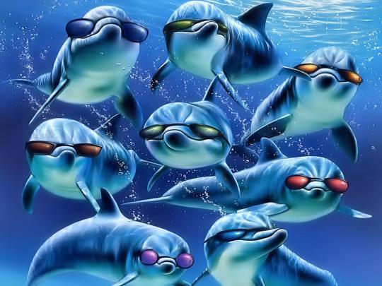 3D Desktop Wallpaper Dolphins -