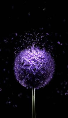 Full Hd 4k Amoled Wallpaper