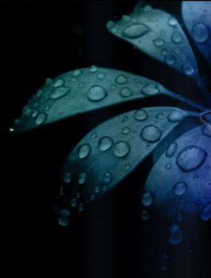 Amoled Wallpaper 4K : 4k Amoled Wallpapers No Ads For Android Apk 