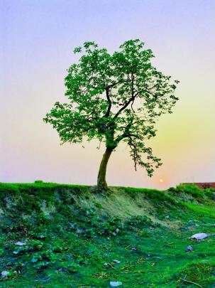 Krishna Amoled Wallpaper 4K \/ Amoled Wallpaper (4K Ultra HD) for 