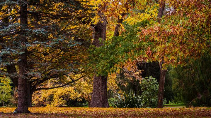 4K Autumn Wallpapers High Quality | Download Free