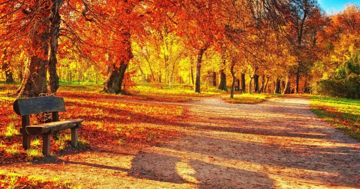 Ultra HD Autumn Wallpapers - Top Free Ultra HD Autumn Backgrounds 