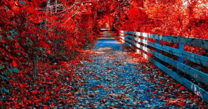 Ultra HD Autumn Wallpapers - Top Free Ultra HD Autumn Backgrounds 