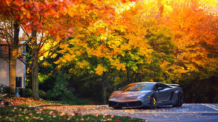 Lamborghini Autumn Gallardo, HD Cars, 4k Wallpapers, Images 