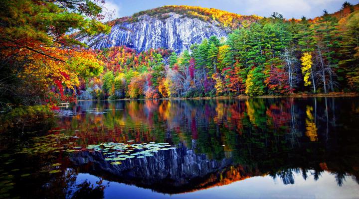 Autumn Forest Reflected in the Lake 4k Ultra HD Wallpaper | Background 