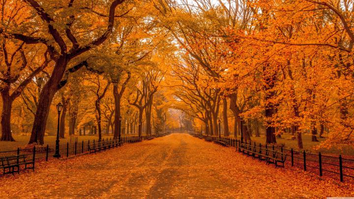 Beautiful Autumn Scenery Wallpapers
